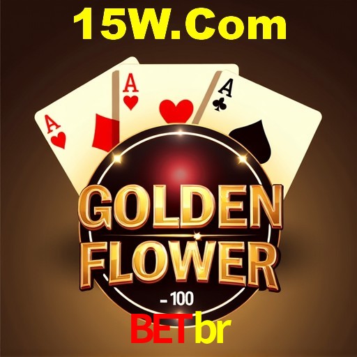 Interface Premium Betbr